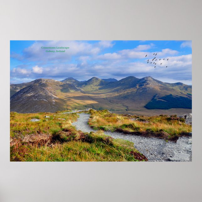 Poster Irlanda (Frente)