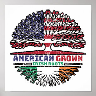 Poster Irlanda Irlanda Irlanda EUA EUA EUA EUA Estados Un