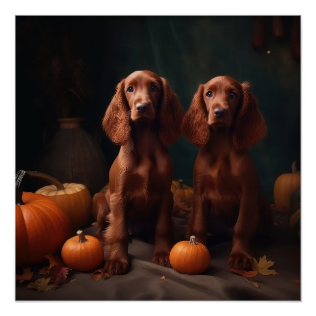 Póster Irlandês Red Setter Puppy Autumn Delight Pumpkin (Frente)