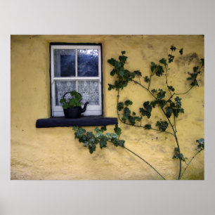 poster irlandês velho da janela