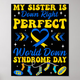 Poster Irmã é Totalmente Perfeito Mundo Síndrome de Down