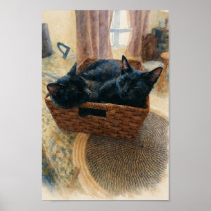 Poster Irmão e Irmã Amor de Gato