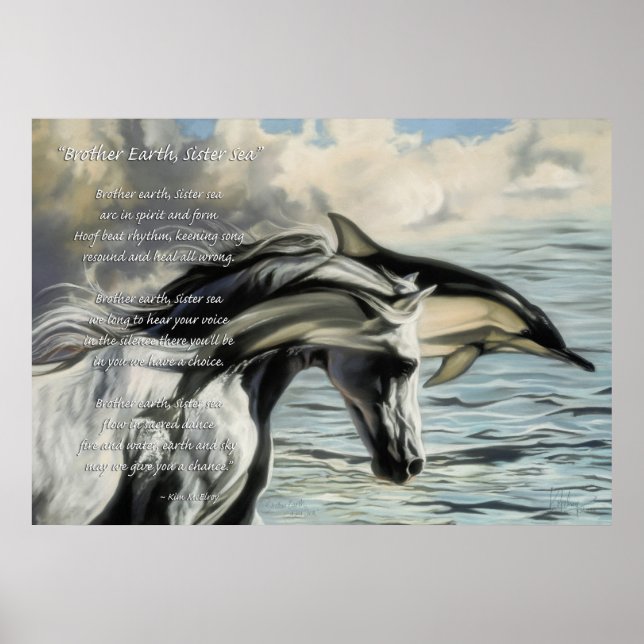 Póster Irmão Terra, Mar Irmã (Frente)