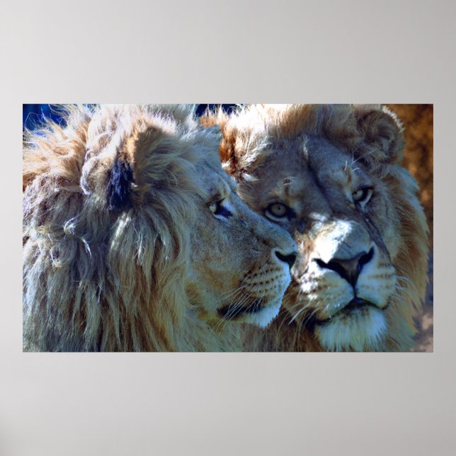 Póster Irmãos (Frente)