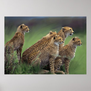 Póster Irmãos originais nos braços