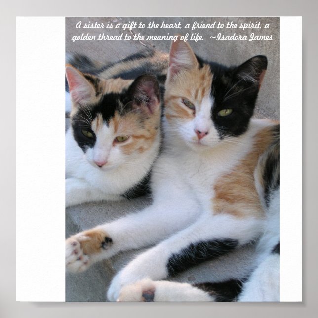 Póster Irmãs (Frente)