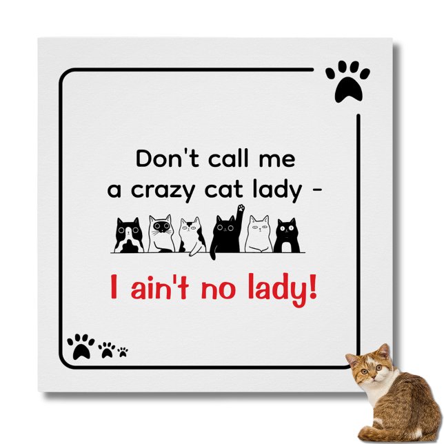Póster Irreverent Humor Crazy Cat Lady  (I ain't no lady poster)