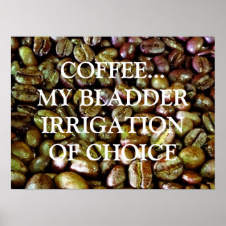 PÓSTER IRRIGAÇÃO DE ESCOLHA DA BLADDER