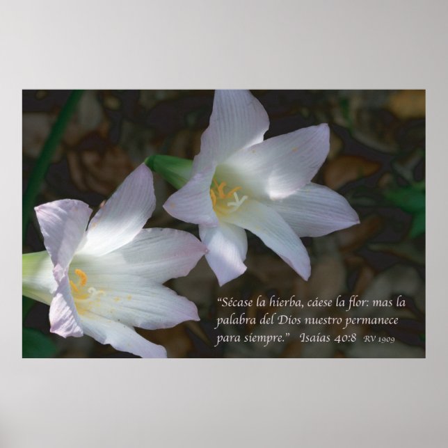 Poster Isaias 40:8 con Lirios (Frente)
