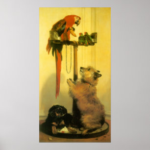 Póster Islay, Tilco, a Macaw and Love Birds by Landseer