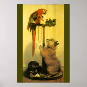 Póster Islay, Tilco, a Macaw and Love Birds by Landseer