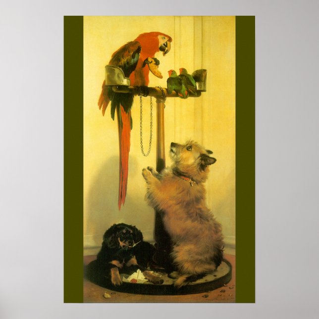 Póster Islay, Tilco, Macaw and Love Birds de Landseer (Frente)