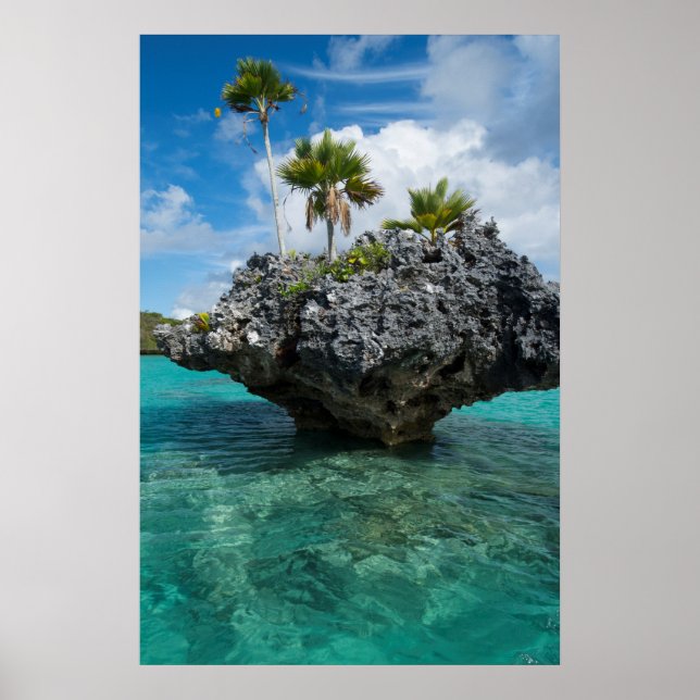 Poster Islets De Mushroom Nas Ilhas Fiji (Frente)