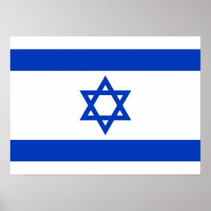 Póster Israel Flag