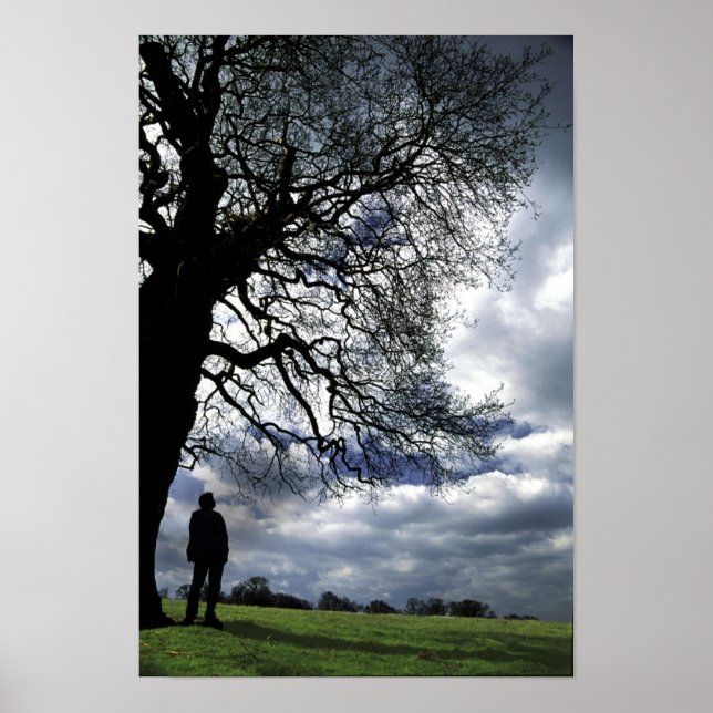 Póster Isso Foi Com A Árvore Vento (Frente)