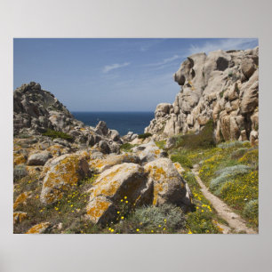 Póster Itália, Sardenha, Santa Teresa Gallura. Capo 2
