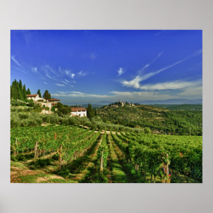 Póster Itália, Toscana, Greve. Os vinhedos de Castello
