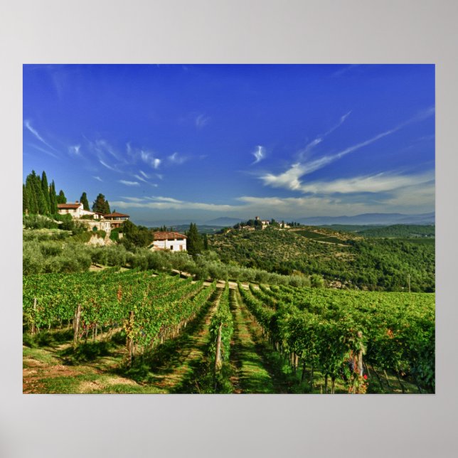 Póster Itália, Toscana, Greve. Os vinhedos de Castello (Frente)