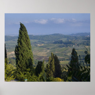 Poster Itália, Toscana, Montepulciano. Vista da