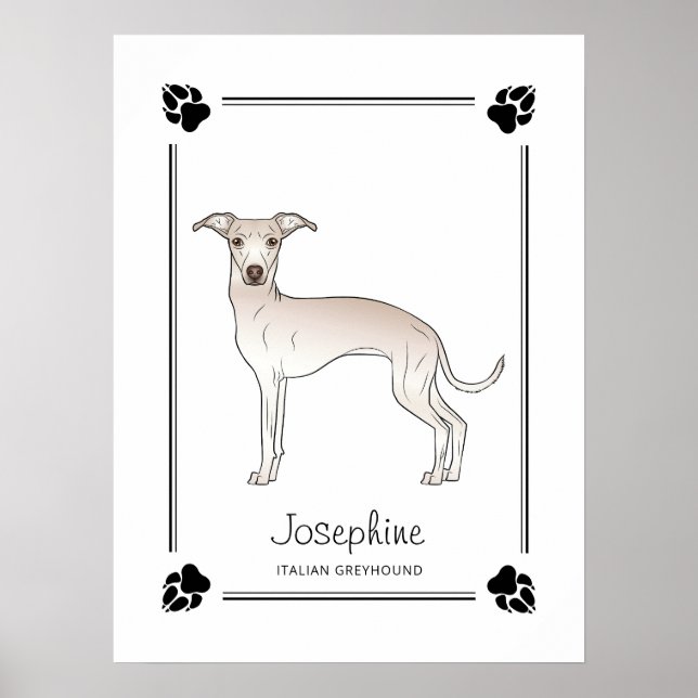Poster Italian Greyhound Creme Com Patas E Texto Personal (Frente)