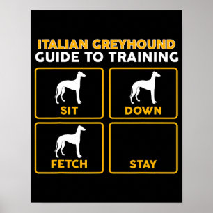 Poster italian greyhound  funny guide to training