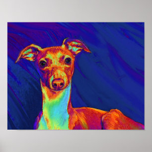 Póster italian greyhound puppy
