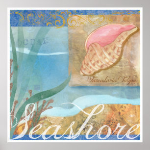 Poster IV da praia, "litoral com tulipa Shell "