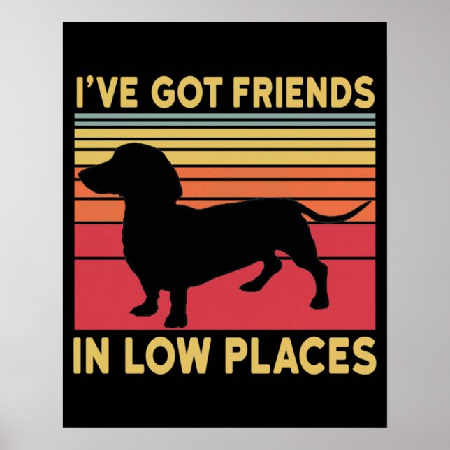 Poster Ive got friends in low places (Frente)