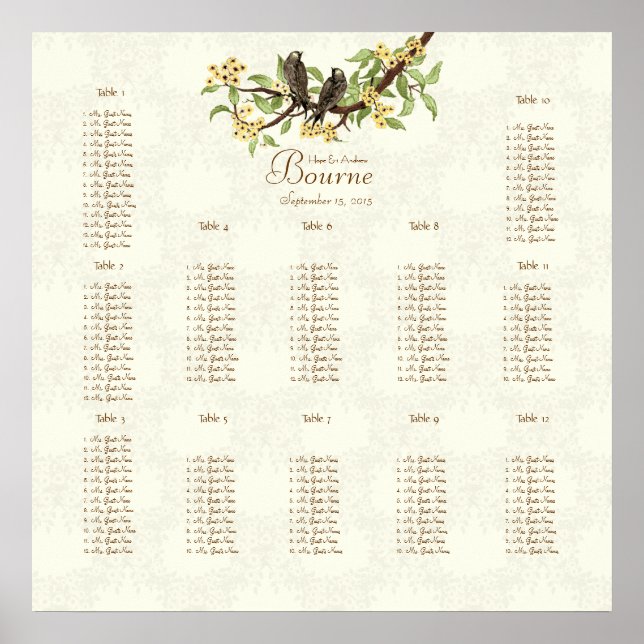 Póster Ivory Vintage ama aves (Frente)