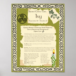 PÓSTER IVY CELTIC SACRED TREE