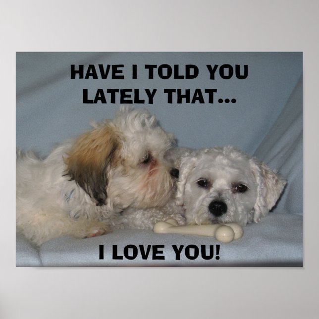 PÓSTER JÁ LHE DISSE QUE... EU AMO... (Frente)