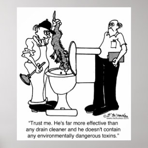 Póster Jacarés como líquidos de limpeza do dreno