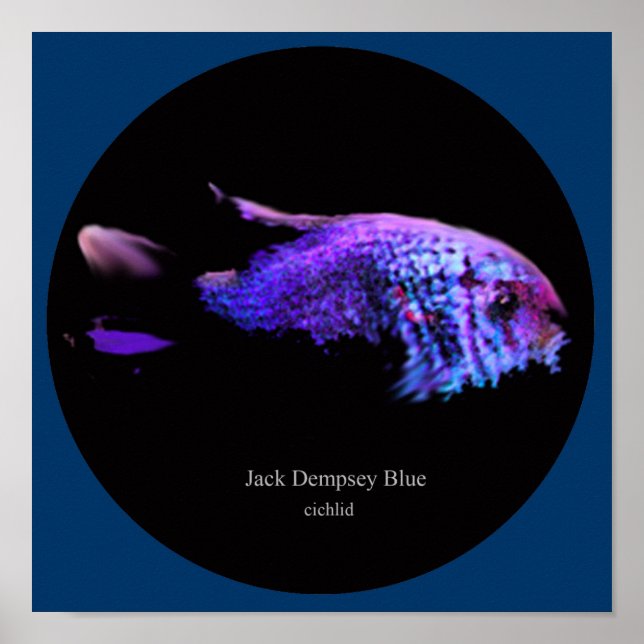 Póster Jack dempsey azul (Frente)