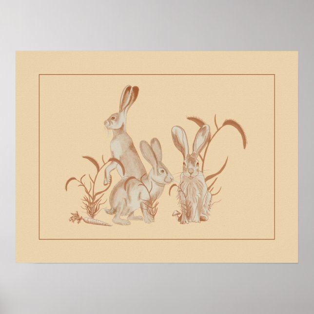 Poster Jack Rabbit e Amigos (Frente)