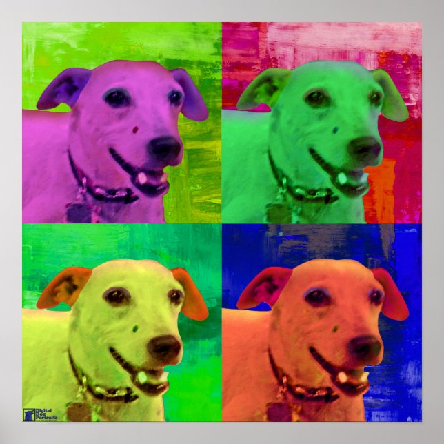 Poster Jack Russel Terrier Pop Art (Frente)