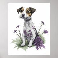 Jack Russell Dog