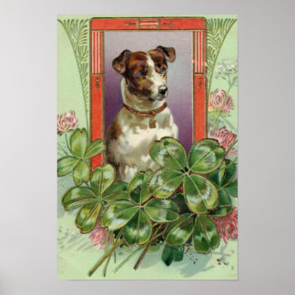 Poster Jack Russell Terrier