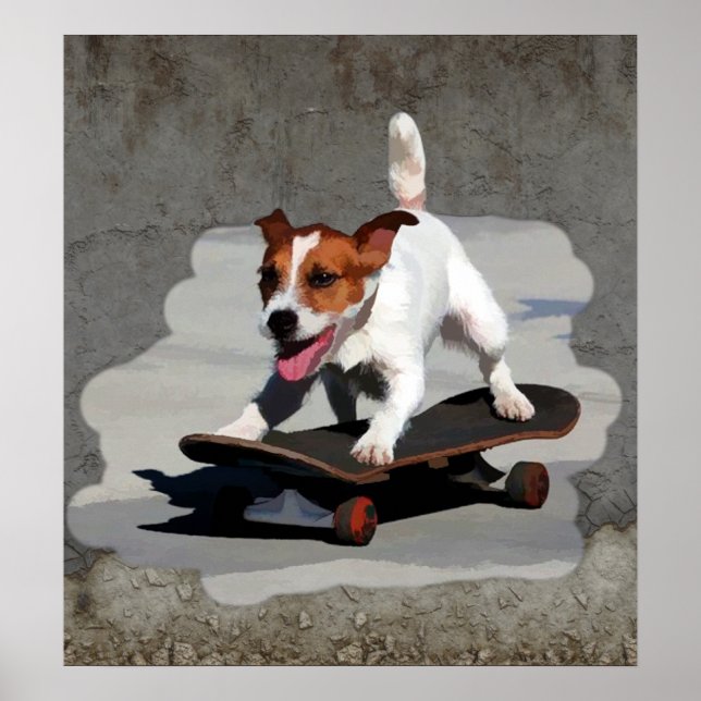 Poster Jack Russell Terrier no skate (Frente)