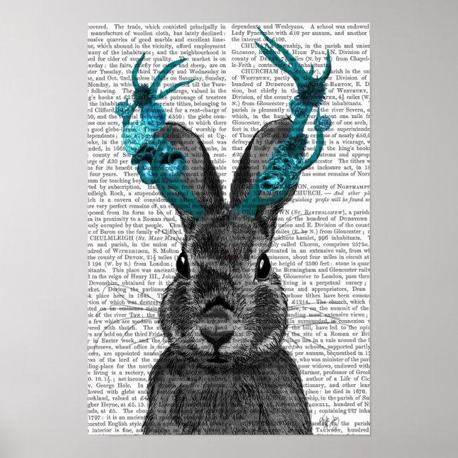 Póster Jackalope com Turquoise Antlers (Frente)