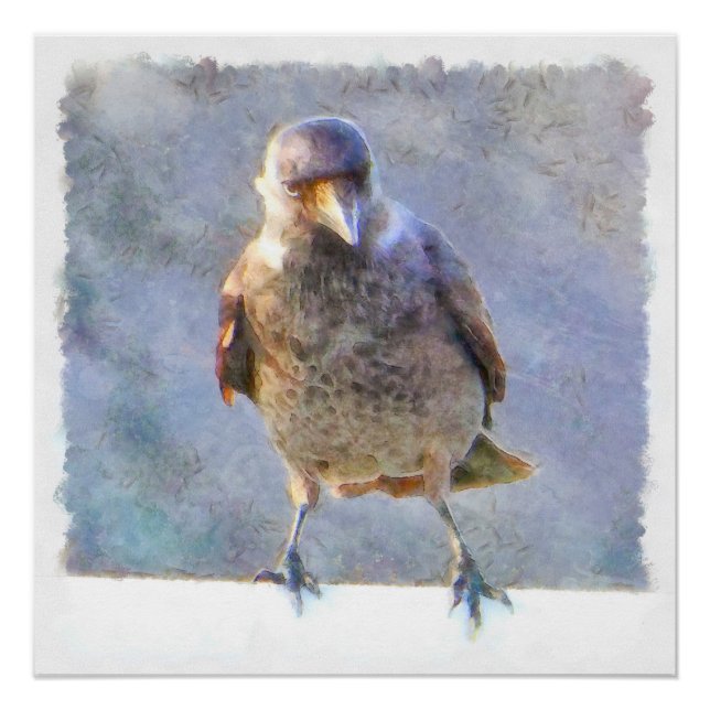 Póster Jackdaw Watercolor (Frente)