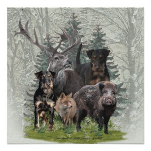 Póster Jagdterrier, Caça alemã Terrier