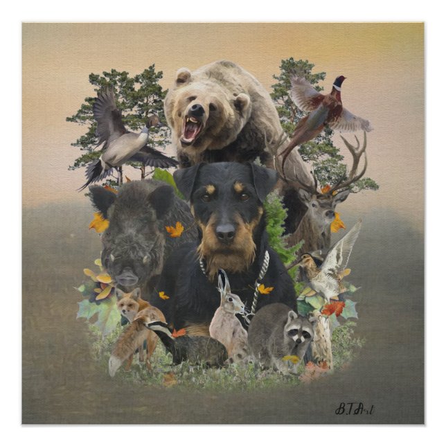 Póster Jagdterrier, Caça Alemã Terrier Tapeçaria (Frente)