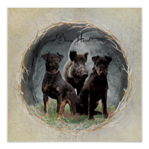 Póster Jagdterrier, corajosa tapeçaria cardíaca