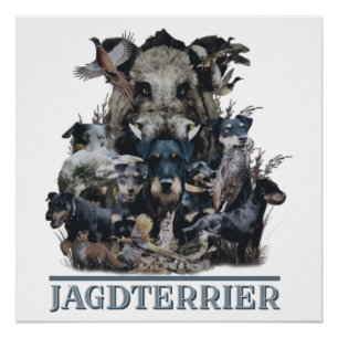 Póster Jagdterrier, Poster de Terrier Caçador Alemão