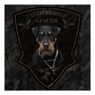 Póster Jagdterrier, Poster de Terrier Caçador Alemão