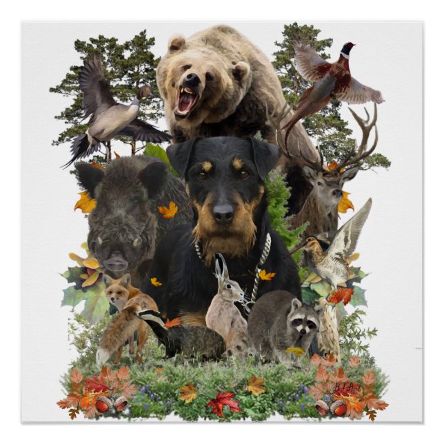 Póster Jagdterrier, Poster de Terrier Caçador Alemão (Frente)