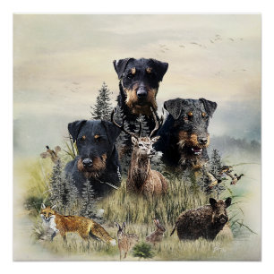 Póster Jagdterriers v. Renbrad Kennel