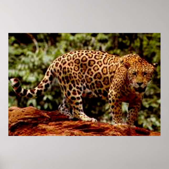 Póster Jaguar (Frente)