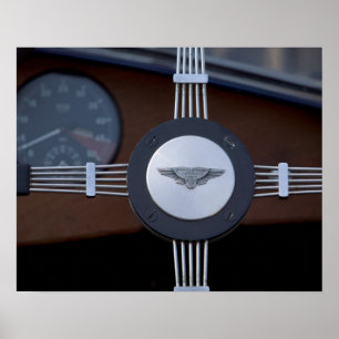 Póster jaguar antigo 3