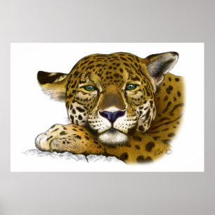 Póster Jaguar colored